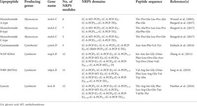 Underexplored bacteria as reservoirs of novel antimicrobial lipopeptides